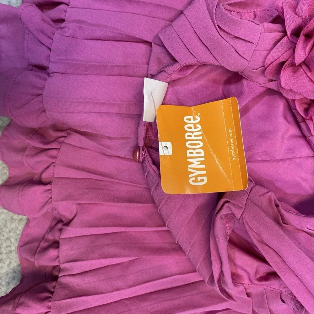 Gymboree‎ Dress Toddler Girls 12-18 m Hot Pink Lined Chiffon Floral Party Formal